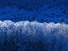 invierno.jpg